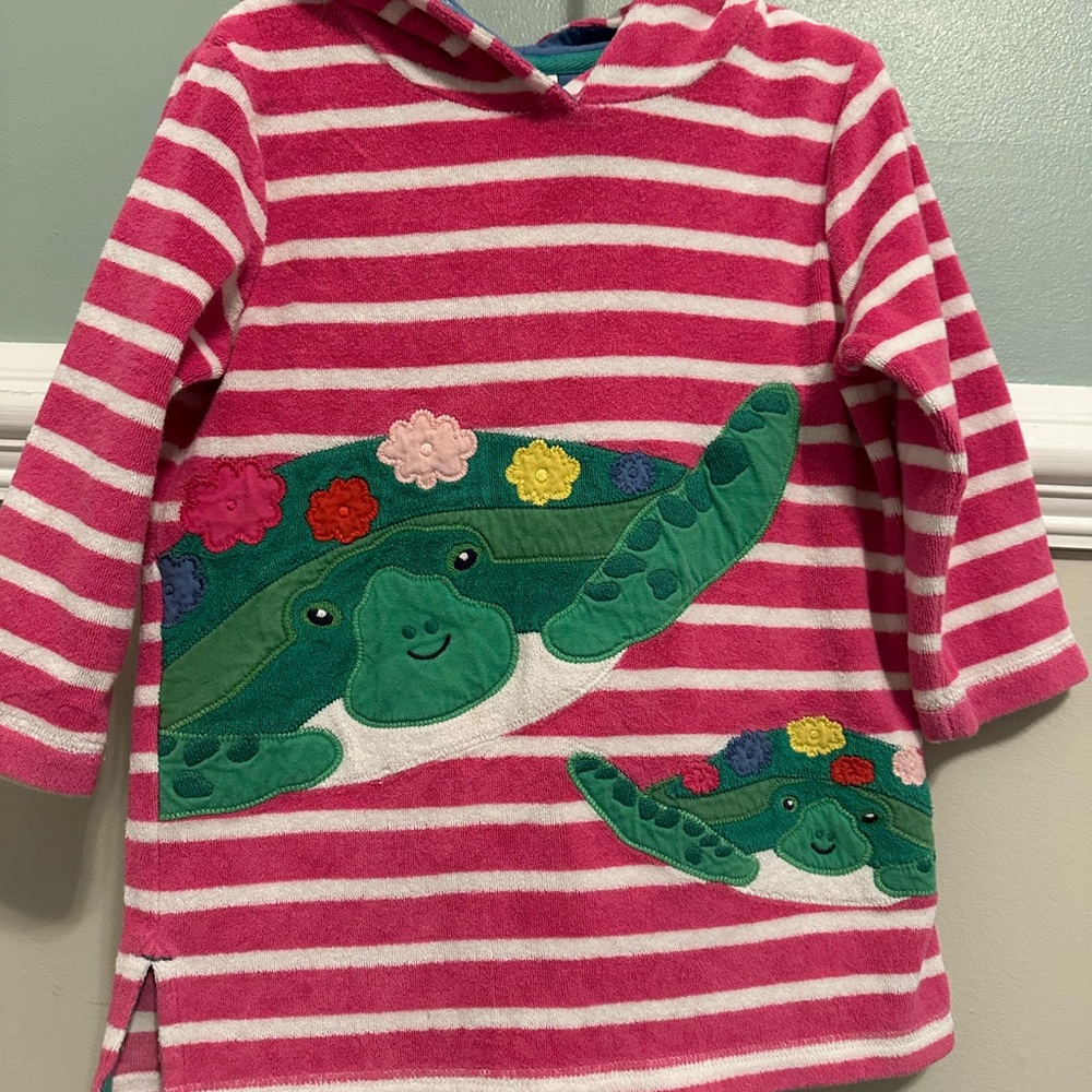 Striped Pink and Green Turtle Hoodie Dress